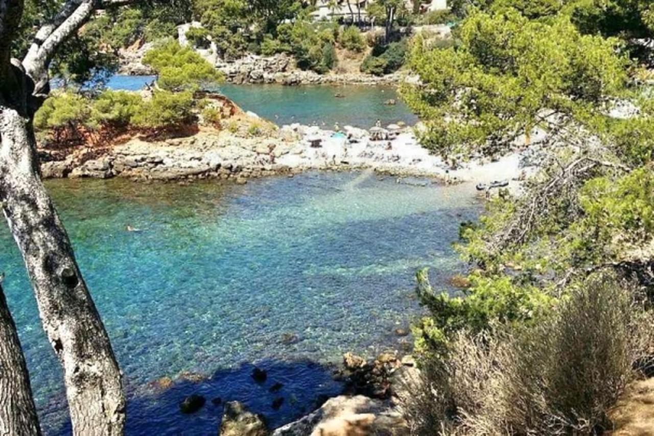Appartement Magnificent Of 20 M With Terrace Bandol